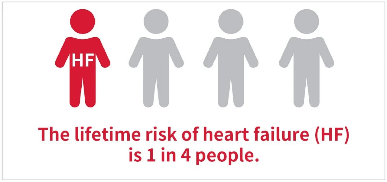 新品上市 | 心衰诊断双保障——聚焦心衰精准诊断，mg不朽情缘从未止步！